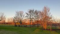 Casa en el campo - casa huéspedes en estupenda chacra de 10 ha - B&B San Antonio de Areco