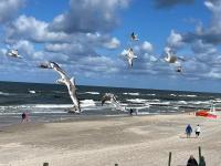 Baltic Haven - Resort Hevenia Pogorzelica - B&B Pogorzelica