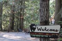 Under the Cedars Glamping Experience with Hot Tub - B&B Port Angeles