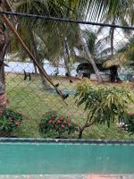 Lagoon View Stay in Negombo - B&B Negombo