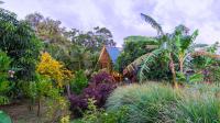 Birdsong eco cabana - Bed and Breakfast Sigiriya
