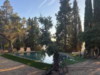 Cortijo La Alquería - B&B Víznar