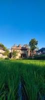 Future Retreat Homestay - Bed and Breakfast Tetebatu