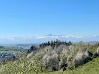 Restored Rustic Retreat in the Langhe - B&B Cerreto Langhe