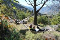 Orchard Huts - B&B Chamba