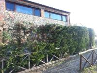Residenza Il Platano Fortilizio di Campiglia - Chambres d'hôtes Rapolano Terme