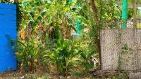 Sacred Modern Hideaway - B&B Koh Pha Ngan