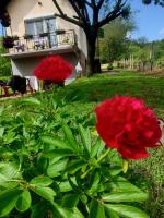 Oaza Slankamen - B&B Slankamenački Vinogradi