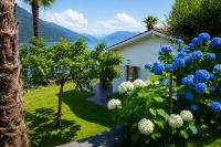 Casa Panorama - B&B Brisa