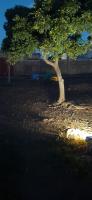 Ton Zaka, une chambre au village de Tanlarghin, à 20 minutes de Ouagadougou - Ferienwohnung Wassoudi