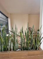 Guadalupe Modern Home Walk to Train & BBVA Stadium - Bed and Breakfast Monterrey