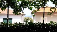 A garden on the bay - Ferienwohnung Castiglioncello