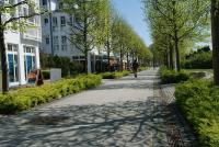 2 Raumwohnung im Seepark Sellin mit Balkon - B&B Sellin