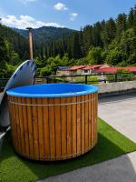 Borjomi-Likani1 - B&B Borjomi