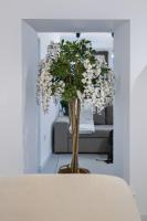Casa D'Alex - B&B Coimbra