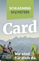 Alpin Appartement Reinhard Tritscher - B&B Ramsau am Dachstein