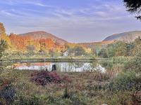 Scenic Off-Grid Cabin with Spring-Fed Pond near Lake Willoughby, Barton, Vermont - B&B Barton