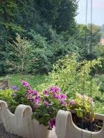 Ilidza Heart of the nature by Armin - B&B Slivlje