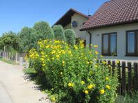 Gospodarstwo Agroturystyczno-Edukacyjne Gratka - B&B