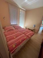 Appartamento con 1 Camera da Letto e Terrazza