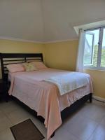 Private Penthouse Rooftop Oasis, Liguanea - Ferienwohnung Kingston