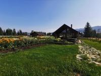 Căsuțele MukSot - B&B Vatra Dornei