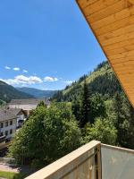 Apartment Near Hiking and Skiing in Nockberge - Chambres d'hôtes Ebene Reichenau