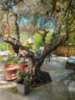 Lefki's country house Heraklion Crete - B&B Áno Fortétsa