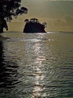 Bosuns Locker - B&B Auckland