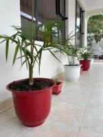 Celestia Homes Arusha - B&B Arusha