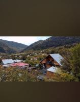 Strawberry - B&B Borjomi