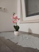 Apartmani Milan 1 - Chambres d'hôtes Trebinje