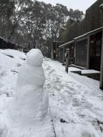 Cabin21 Thredbo, peaceful mountain chalet - B&B Thredbo