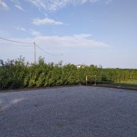 The Green House - B&B Torre di Fine