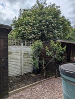 Apartment Sleeps 2 with Garden & Free Parking - Bed and Breakfast Didcot