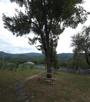 Guesthouse Hikari Racha - B&B Bost’ana