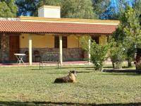 El Algarrobo - B&B San Francisco del Monte de Oro