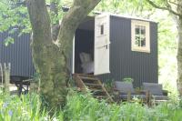Cornwall Woodland Shepherd's Hut - Dennis Hut - B&B Bodmin