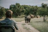 Rhino's Rest Private Luxury Villa - B&B Hoedspruit