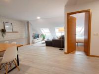 Penthouse Apartment