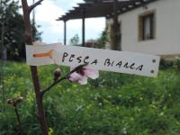 Villa Agape - B&B