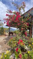 Casa Vista Cafe - B&B Cartago
