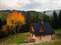 Comfortable holiday villa in the mountains, sauna - Ferienwohnung Piwniczna-Zdrój