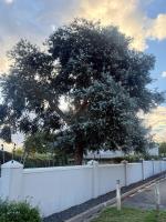 Perfectly Positioned Stylish Townhouse - B&B Franschhoek