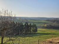 Ferienwohnung Sandek - motorradfreundlich - haustierfreundlich - Ferienwohnung Bad Münstereifel