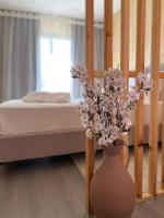 Douro Terraces by AS - B&B Vacalar