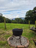 Yurt in the paddock - Bed and Breakfast Gosforth