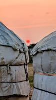 Aydarkul Family Yurt Camp - B&B Eltoy