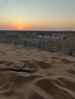 Aydarkul Family Yurt Camp - B&B Eltoy