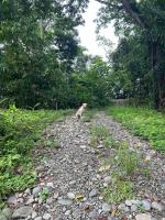 Blue Maverick for Nature Lovers~ 4WD ONLY! - B&B Cocles